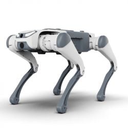 DEEP Robotics