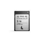 ANGELBIRD AV PRO CFexpress B SE 1 TB Storage