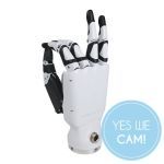 Inspire Robots Dexterous Robotic Hands RH56DFX
