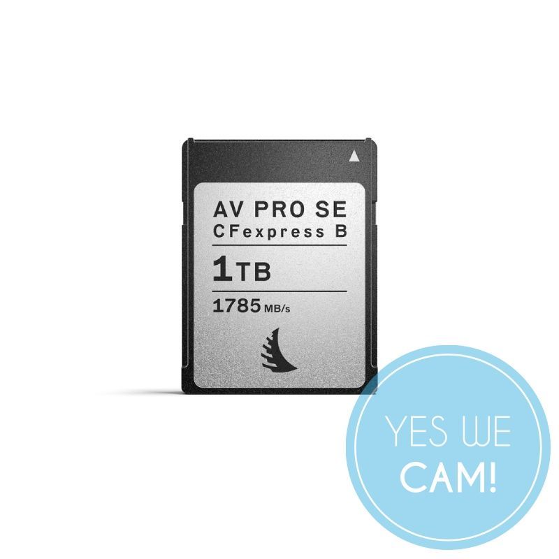 ANGELBIRD AV PRO CFexpress B SE 1 TB kaufen