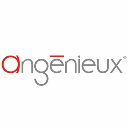 Angenieux E-Mount für EZ-1 und EZ-2 Objektiv